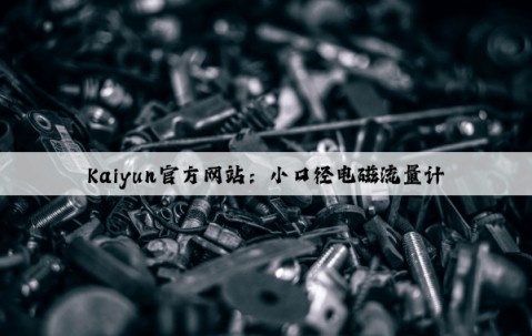Kaiyun官方网站：小口径电磁流量计